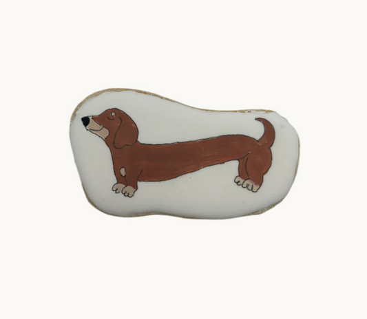 Dachshund